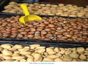 Walnuts, Peanuts, Almonds - From Dept Of Ag -- 7.17.13
